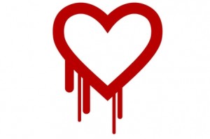 best_phone_sex_niteflirt_heartbleed
